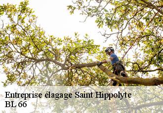 Entreprise élagage  saint-hippolyte-66510 BL 66 