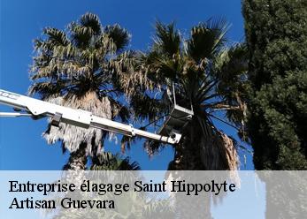 Entreprise élagage  saint-hippolyte-66510 Artisan Guevara