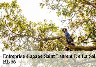 Entreprise élagage saint-laurent-de-la-salanque-66250 BL 66