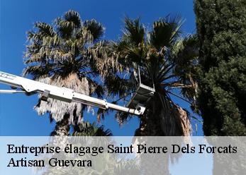 Entreprise élagage  saint-pierre-dels-forcats-66210 Artisan Guevara