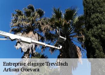 Entreprise élagage  trevillach-66130 Artisan Guevara