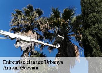 Entreprise élagage  urbanya-66500 Artisan Guevara