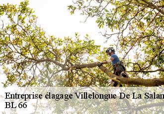 Entreprise élagage villelongue-de-la-salanqu-66410 BL 66