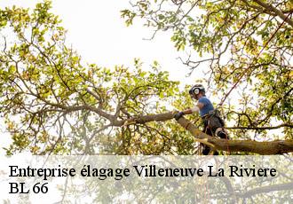 Entreprise élagage  villeneuve-la-riviere-66610 Artisan Guevara