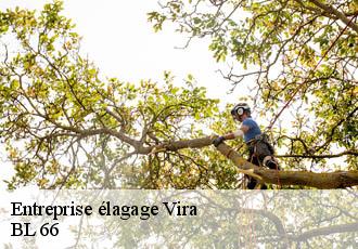 Entreprise élagage vira-66220 BL 66