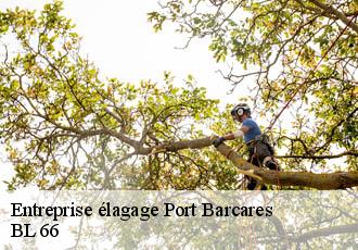 Entreprise élagage port-barcares-66420 BL 66