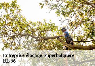 Entreprise élagage  superbolquere-66210 BL 66 