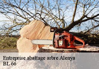 Entreprise abattage arbre  alenya-66200 Artisan Guevara