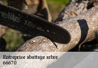 Entreprise abattage arbre  66670