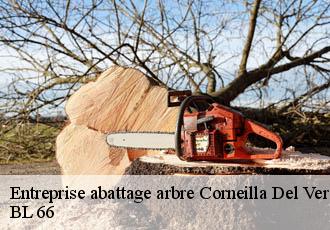 Entreprise abattage arbre  corneilla-del-vercol-66200 Artisan Guevara