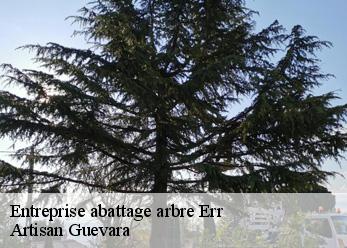 Entreprise abattage arbre  err-66800 Artisan Guevara