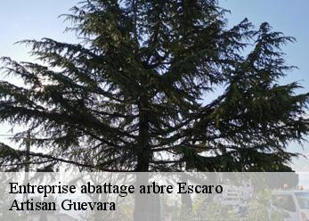 Entreprise abattage arbre  escaro-66360 Artisan Guevara