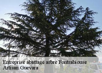 Entreprise abattage arbre  fontrabiouse-66210 Artisan Guevara