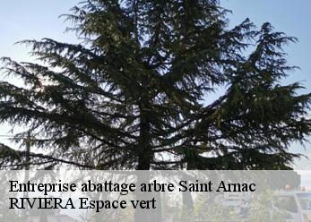 Entreprise abattage arbre  saint-arnac-66220 Artisan Guevara