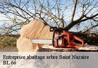 Entreprise abattage arbre  saint-nazaire-66140 Artisan Guevara