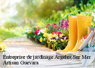 Entreprise de jardinage  argeles-sur-mer-66700 Artisan Guevara