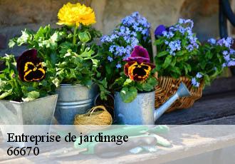 Entreprise de jardinage  66670