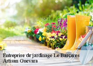 Entreprise de jardinage  le-barcares-66420 Artisan Guevara
