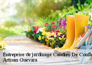 Entreprise de jardinage  caudies-de-conflent-66360 Artisan Guevara