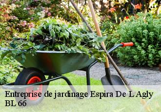 Entreprise de jardinage  espira-de-l-agly-66600 Artisan Guevara