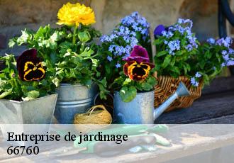 Entreprise de jardinage 66760