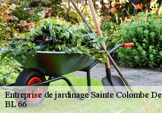 Entreprise de jardinage sainte-colombe-de-la-commanderie-66300 BL 66