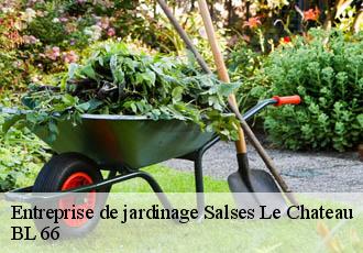 Entreprise de jardinage  salses-le-chateau-66600 Artisan Guevara