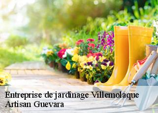 Entreprise de jardinage  villemolaque-66300 Artisan Guevara