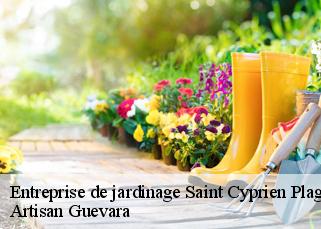 Entreprise de jardinage  saint-cyprien-plage-66750 Artisan Guevara
