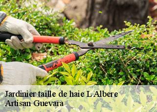 Jardinier taille de haie  l-albere-66480 Artisan Guevara