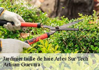 Jardinier taille de haie  arles-sur-tech-66150 Artisan Guevara