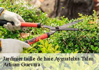 Jardinier taille de haie  ayguatebia-talau-66360 Artisan Guevara