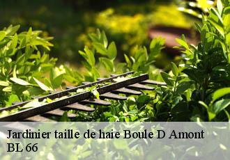 Jardinier taille de haie  boule-d-amont-66130 Artisan Guevara