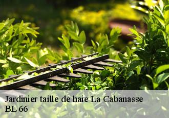 Jardinier taille de haie  la-cabanasse-66210 Artisan Guevara