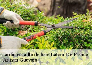 Jardinier taille de haie  latour-de-france-66720 Artisan Guevara