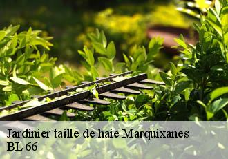 Jardinier taille de haie marquixanes-66320 BL 66