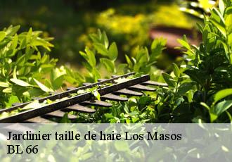 Jardinier taille de haie los-masos-66500 BL 66