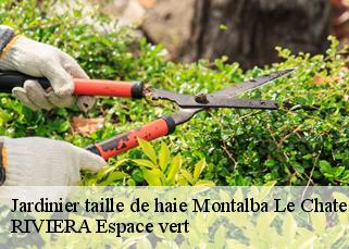 Jardinier taille de haie  montalba-le-chateau-66130 Artisan Guevara
