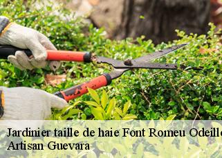 Jardinier taille de haie  font-romeu-odeillo-via-66120 Artisan Guevara