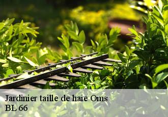 Jardinier taille de haie  oms-66400 Artisan Guevara