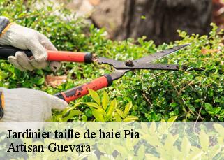 Jardinier taille de haie  pia-66380 Artisan Guevara