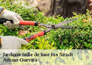 Jardinier taille de haie  ria-sirach-66500 Artisan Guevara