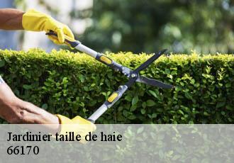 Jardinier taille de haie  66170