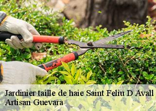 Jardinier taille de haie  saint-feliu-d-avall-66170 Artisan Guevara