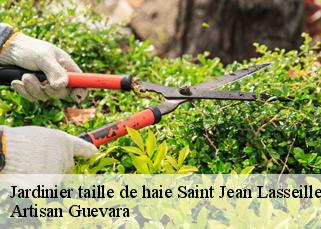 Jardinier taille de haie  saint-jean-lasseille-66300 Artisan Guevara