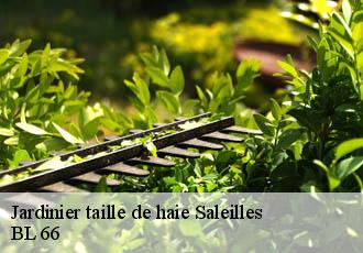 Jardinier taille de haie saleilles-66280 BL 66