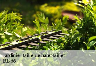 Jardinier taille de haie taillet-66400 BL 66
