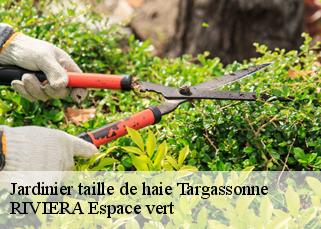 Jardinier taille de haie  targassonne-66120 Artisan Guevara