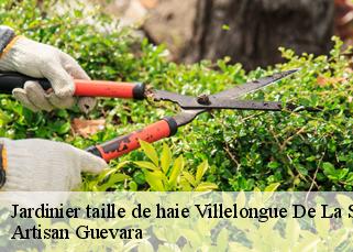 Jardinier taille de haie  villelongue-de-la-salanqu-66410 Artisan Guevara
