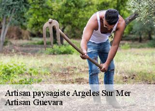 Artisan paysagiste  argeles-sur-mer-66700 Artisan Guevara